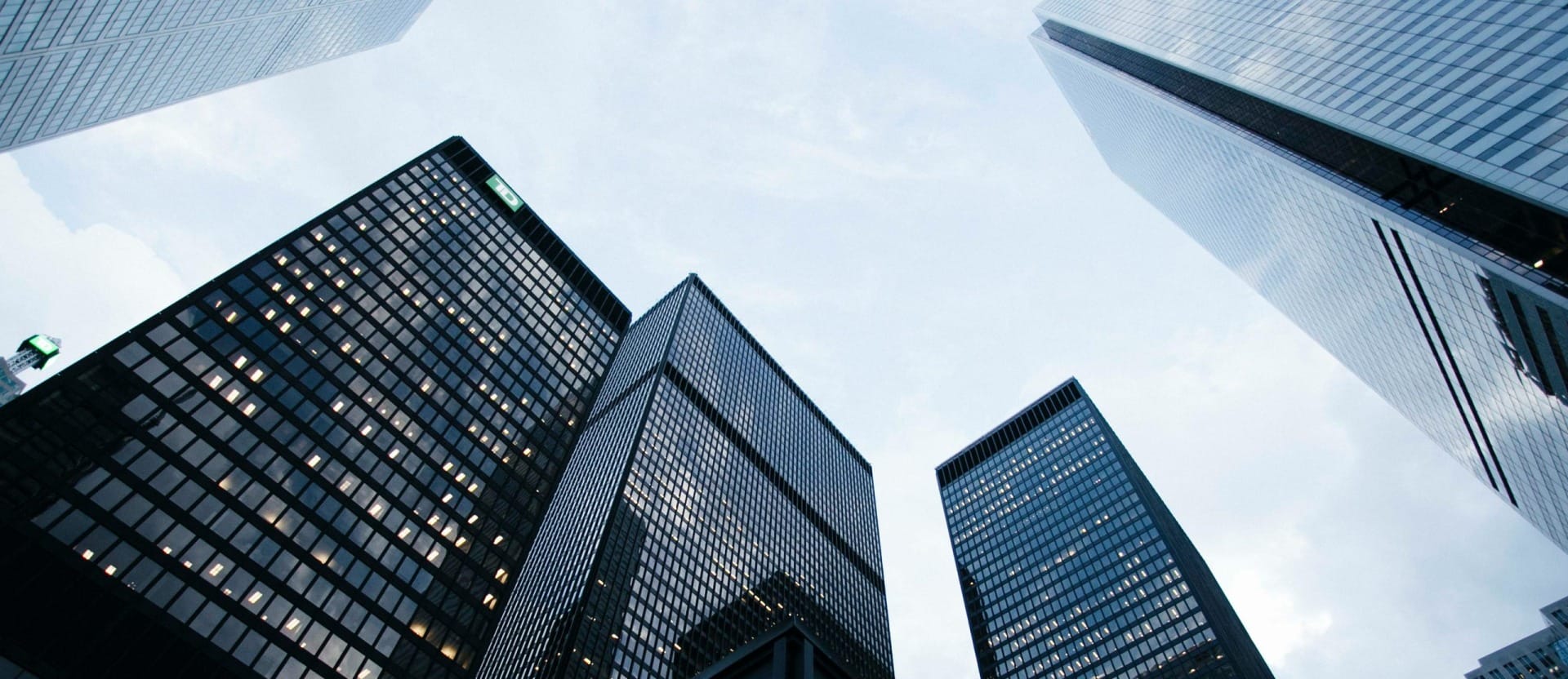 Skyscraper landscape