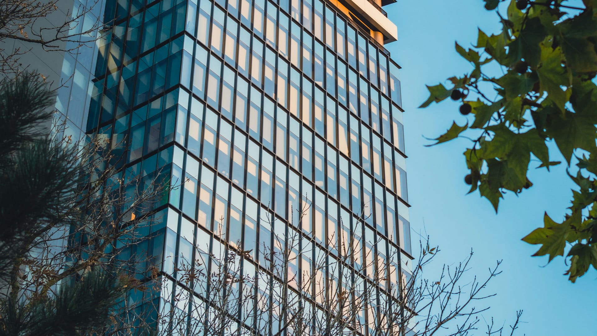 A modern building with a striking architectural design