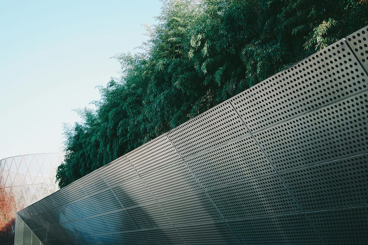 Modern Fence and Hedge